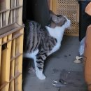 노안농협하나로마트