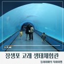 아빠와 고래 | [울산/남구]장생포고래생태체험관후기/울산아기랑/운영시간/주차/요금/가격/울산고래박물관/체험관/할인...