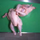 암바치킨 이미지