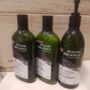 더 세화 리투스 이미지