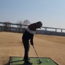 검단 파크골프장 2(신규) | 🚨 [팩트체크] 4월 파크골프장 휴장기 생존 전략! 오송 제2파크골프장 청주시민 부분 개장의 진실