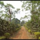 공금농장 이미지