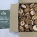 버섯마루 | 부모님 선물 추천 표고마루 생 표고버섯 실속형 1kg 택배 후기