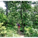 이월초등학교 이미지