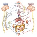 온기담은 한의원 이미지