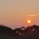 지에스(GS) 수퍼마켓 부암점 이미지