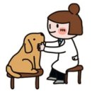 유동물병원 이미지