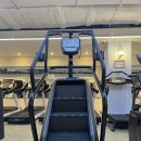 더바디피트니스 이미지