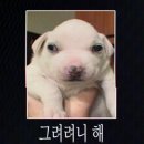 * 2024년 12월 둘째 주