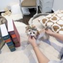 멜로디펍스 이미지