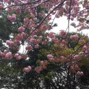 아시아드공원 이미지