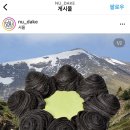 샤넬하우스 이미지