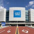 이렌터카 중앙일보