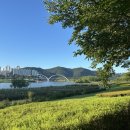 태화 목장 | 울산 태화강 국가정원 만남의광장 일요일 아침 산책 후 스타벅스 혼카페 아이스라떼 바나나 먹으며 백수...