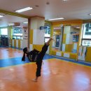 동아대박사한결태권도 이미지