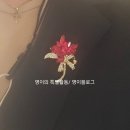 후리지아 | 어버이날, 후리지아 바구니 주문한 후기