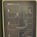 가평아이와가볼만한곳 가평카페 아쿠아가든카페 가평점 후기