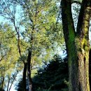 요동목장 이미지