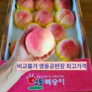 명전 농장 이미지