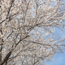 평화로01 이미지