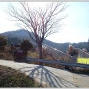 단군영당유허비 이미지