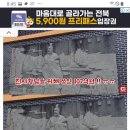 서복전시관 이미지