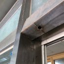 양노로109번길 이미지