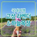 힐링투어라인 이미지