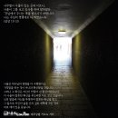상서로 티스토리