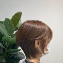 세인가헤어 이미지