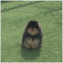 호텔아로하 이미지