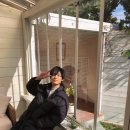 하나유키 이미지