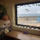 (주)제주도스쿠터여행사