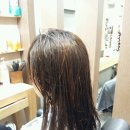 나무헤어 이미지