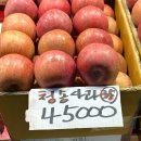 새마음도매마트 | 남촌농산물도매시장 리얼 장보기 후기 (feat. 가성비 사과 득템)