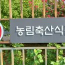 하례1리 이미지