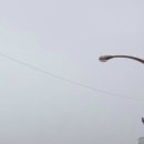 덕평목장 이미지