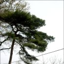 석주권필 유허비 이미지