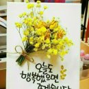피어나리  헤어 이미지