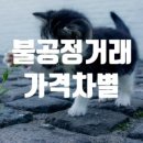 미미행정사 이미지