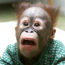 비쥬얼쇼크 이미지