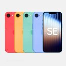 Se4 색상 이거 확정이에요? 이미지