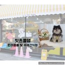잇츠폴댕 네이버블로그