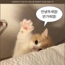 자인 | 내돈과 시간 아깝지 않은 자인스쿨 VOD후기