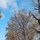 화수칼국수 이미지