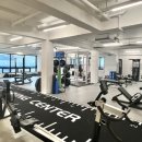 어바웃 피티 이미지