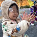 고양대로1432번길 | 일산 아기랑 카페 원 스위트, 비눗방울에 대형트리까지