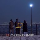 자라우새길 이미지