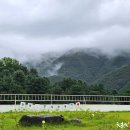 장계관광지 이미지