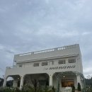 경북 청도 주말에도 한적한 카페 추천 | 유럽풍 인테리어 ‘카페 마나나 cafe manana’ 후기